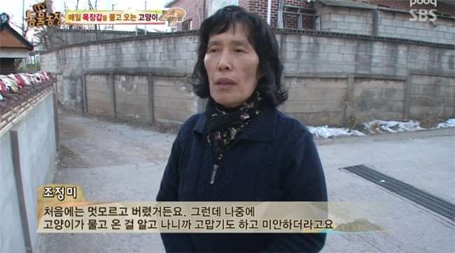 為了報答好心給牠飯吃的大媽...野貓每天都咬回讓人意想不到的「神秘禮物」！ 