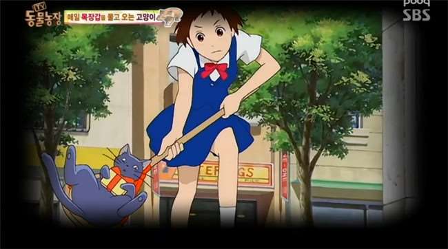 為了報答好心給牠飯吃的大媽...野貓每天都咬回讓人意想不到的「神秘禮物」！ 