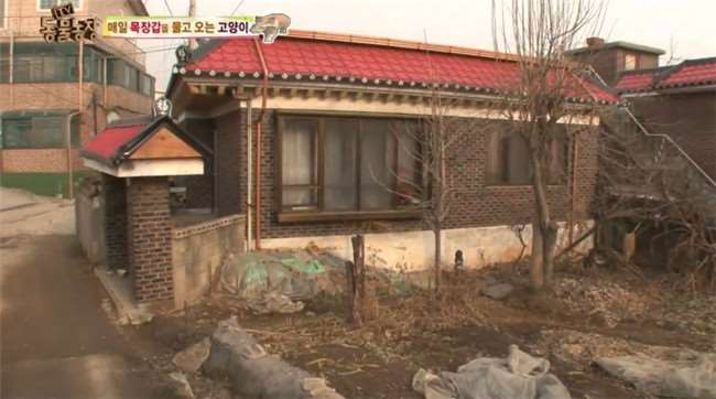 為了報答好心給牠飯吃的大媽...野貓每天都咬回讓人意想不到的「神秘禮物」！ 