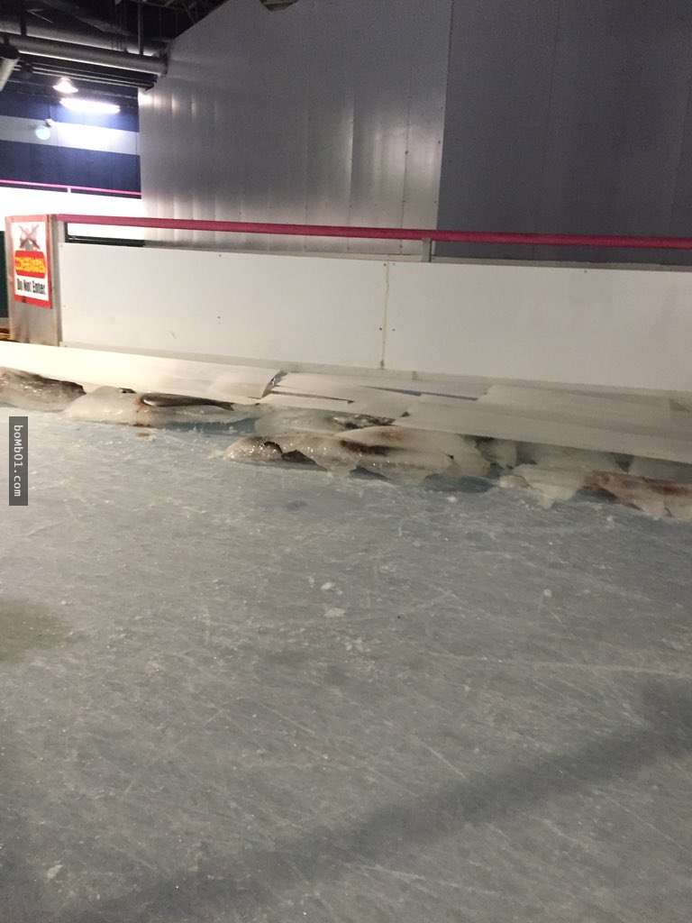 日本遊樂園埋「5000死魚」在溜冰場吸引顧客，網友一看到流血水的場面就傻眼說「會通過這企劃的人是白痴吧」！