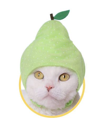 出不完的貓咪頭套《貓野菜第2彈水果頭套》貓主子來～幫你戴上新帽帽Σ( Φ ω Φ )....
