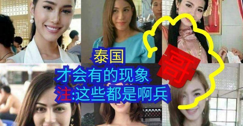 泰國抽籤當兵的奇景！這些阿兵(哥)，赦免服役。每張都貌美，最後一張看了直接給跪了~