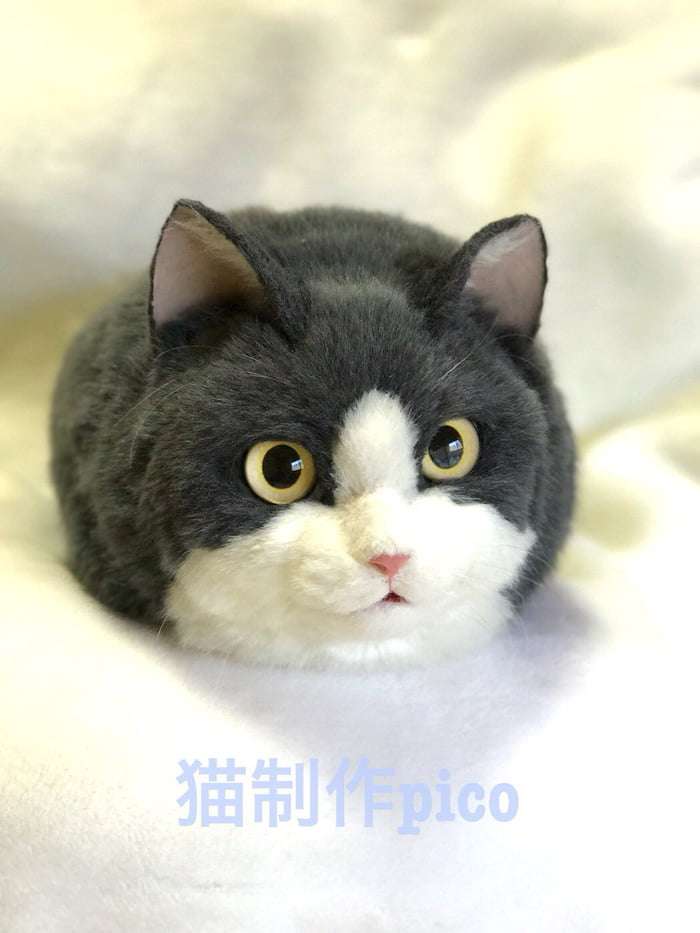  不是真貓！　日本家庭主婦DIY「擬真貓包」賣翻天　路人看到會驚慌啊