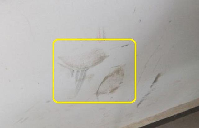 新房白牆弄髒了怎麼辦？資深老師傅教你這幾招，輕松變白還省錢！ 