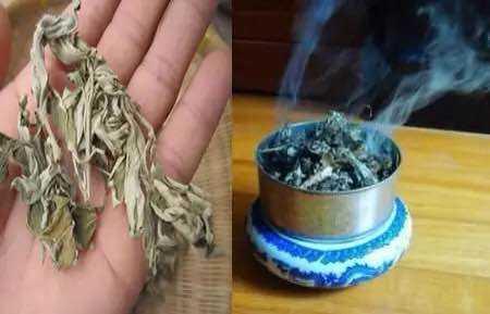 比殺蟲劑好用多了！泡過的「茶葉」或「茶包」不要扔了，把它放在這裡，老鼠、蟑螂、蚊子再也不來你家了！