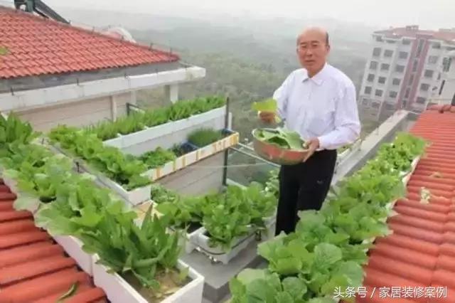 大叔、大媽在樓頂上種菜，一整年都吃不完還送人，買頂樓真好！