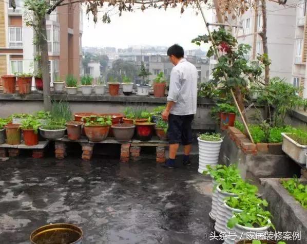 大叔、大媽在樓頂上種菜，一整年都吃不完還送人，買頂樓真好！