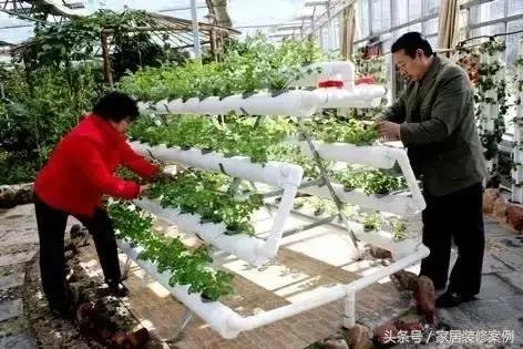 大叔、大媽在樓頂上種菜，一整年都吃不完還送人，買頂樓真好！