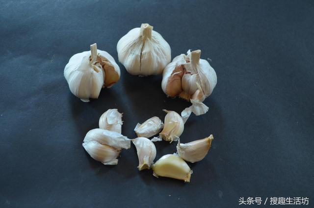 點蚊香「花錢又傷身」超級劃不來！他剪開口罩「塞入一把大蒜」後...環保又省錢效果超讚！ 