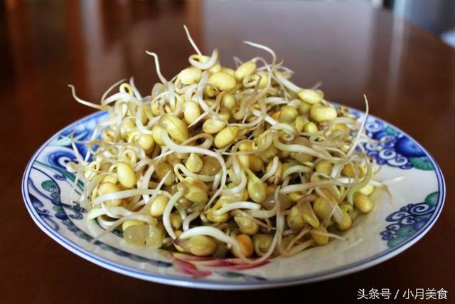 「豆芽菜」自己在家就能種，想吃隨手能抓一大把！ 