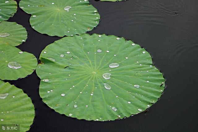 一天中最容易長胖的3個時間段，一不留神就讓你離胖子越來越近！