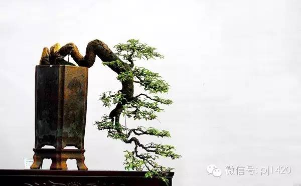 一匱功盈尺，三峰意出群 