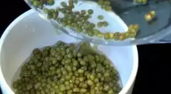 阿基師教你3分鐘煮出好喝「綠豆湯」，不用苦等豆子開！