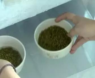 阿基師教你3分鐘煮出好喝「綠豆湯」，不用苦等豆子開！