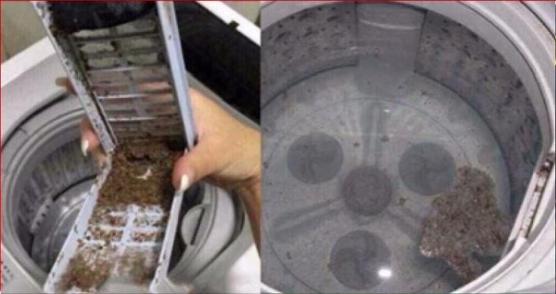 洗衣機60天不洗，細菌比馬桶還多！教你一個小方法，1年不用清洗都很乾凈！ 