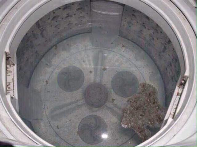 洗衣機60天不洗，細菌比馬桶還多！教你一個小方法，1年不用清洗都很乾凈！ 