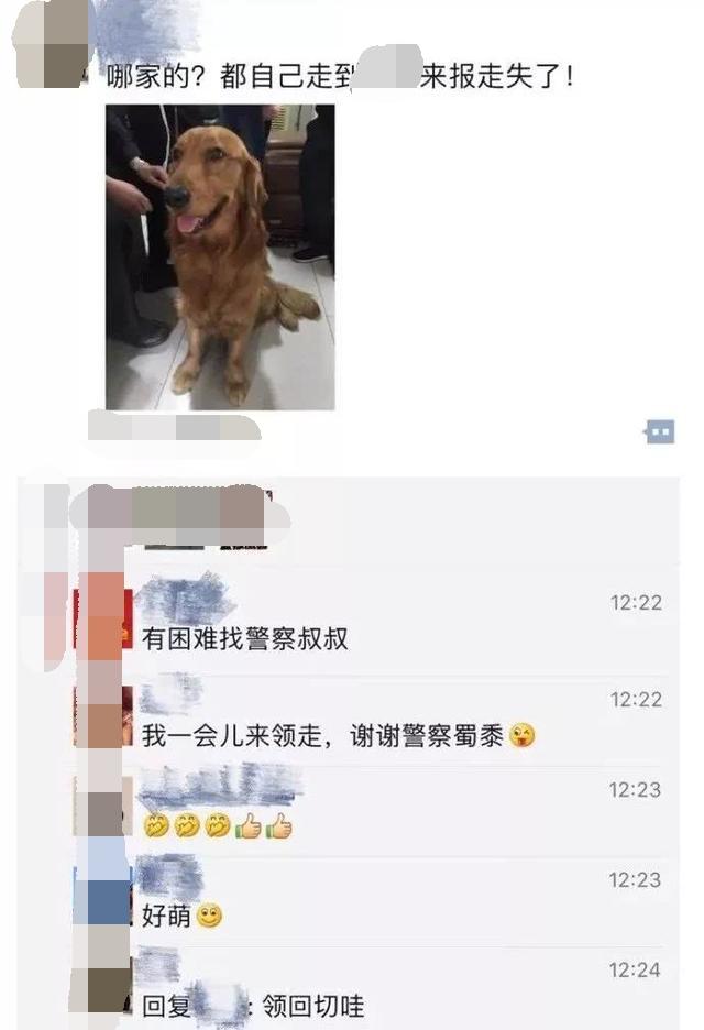 陌生阿金「門口前徘徊」求助警察叔叔！一臉燦笑替自己報案：本汪走失了XD