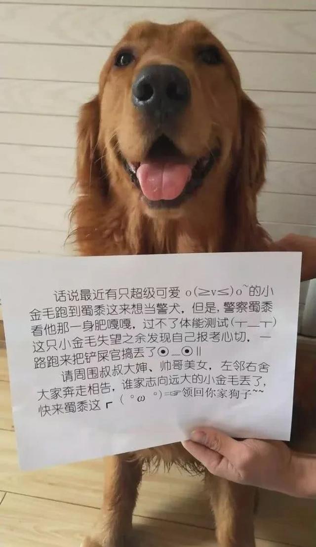 陌生阿金「門口前徘徊」求助警察叔叔！一臉燦笑替自己報案：本汪走失了XD