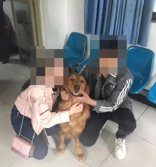 陌生阿金「門口前徘徊」求助警察叔叔！一臉燦笑替自己報案：本汪走失了XD