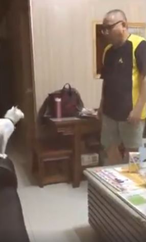差別待遇啦！看到把拔就「飛撲討抱」，輪到奴才「一秒轉身離開」玻璃心碎滿地QQ 