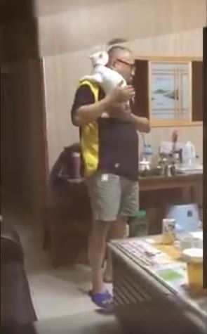 差別待遇啦！看到把拔就「飛撲討抱」，輪到奴才「一秒轉身離開」玻璃心碎滿地QQ 