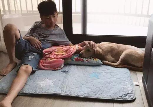 從繁殖場救出的金毛半夜哭泣，小主人陪它入睡：有我在，別怕……