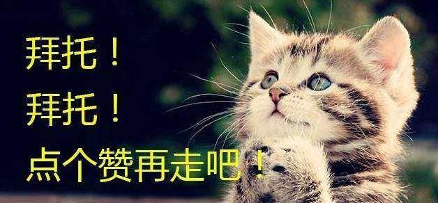 心理測試：哪個人的眼睛最能打動你？測測你是笨蛋還是單純的人 