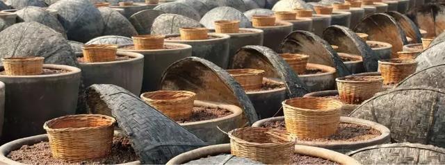 老抽、生抽、豉油、蚝油到底怎麼用？做菜高手可能都不知道……