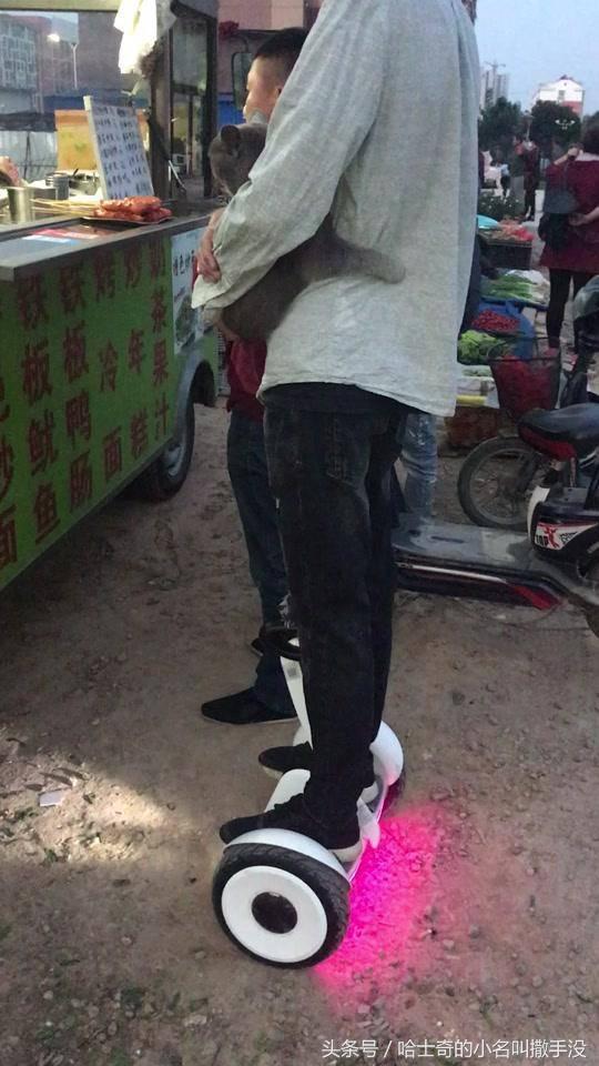 女友系喵喵「小手手摟腰」超甜蜜！網笑：難怪人家說「男生別養貓」XD 