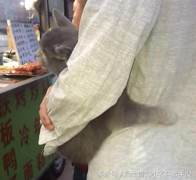 女友系喵喵「小手手摟腰」超甜蜜！網笑：難怪人家說「男生別養貓」XD 