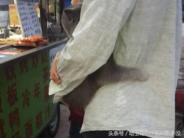 女友系喵喵「小手手摟腰」超甜蜜！網笑：難怪人家說「男生別養貓」XD 