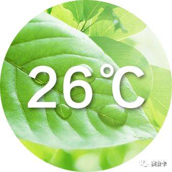 廚師說：夏天廚師真的很不容易，請理解並尊重我們