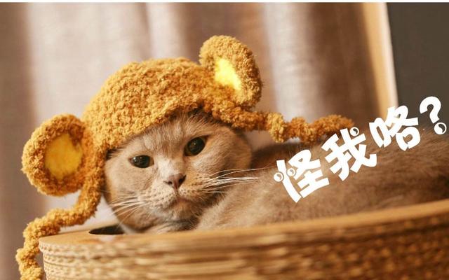 天堂M瘋狂課長狠砸40萬仍抽不到想要的 ! 無奈嘆「這根本是錢坑」!