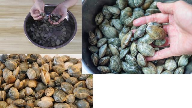別再用鹽水洗花蛤了，教你一招，泥沙吐得又快又乾淨，太省時間了