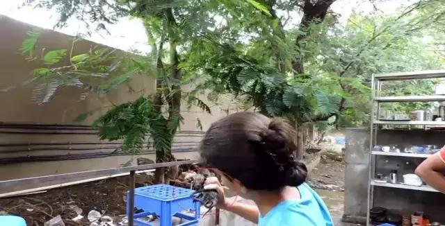 正在吃飯的貓媽媽受到了驚嚇，一不小心竟然把孩子嚇出來了……