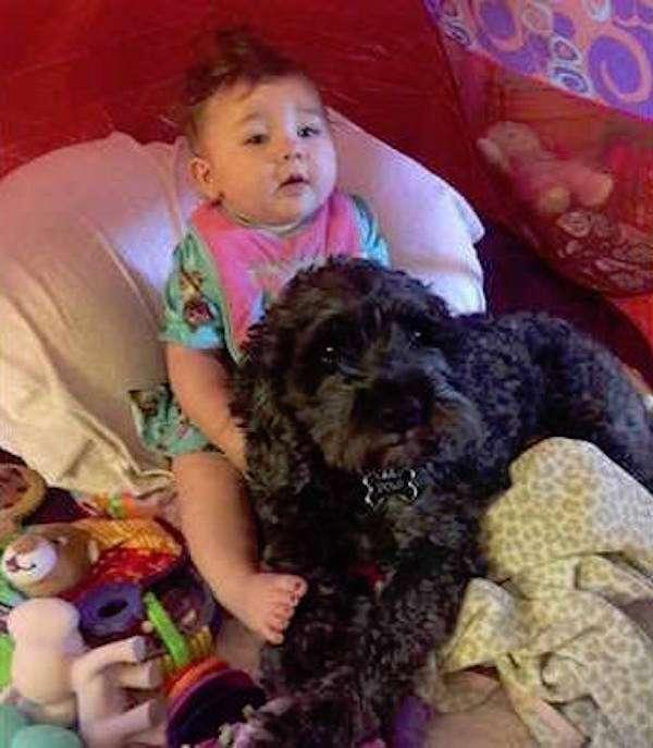 家中大火媽媽以為女兒已經死了，撲滅火後才知道狗狗做了什麼