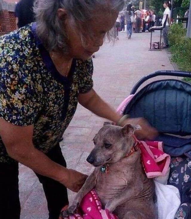 七十歲奶奶推著嬰兒車左顧右盼，行人走近看到嬰兒後眼淚盈眶