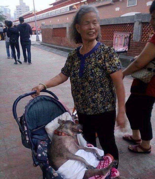 七十歲奶奶推著嬰兒車左顧右盼，行人走近看到嬰兒後眼淚盈眶
