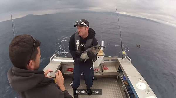 這個男子抓住釣到的鮪魚要來張合照時…鮪魚的「電動馬達」反應卻讓釣客不停哀哀叫！