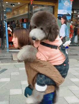 網友遠遠看到一位妹子背著一個大娃娃，但走近看這也太可愛了吧！