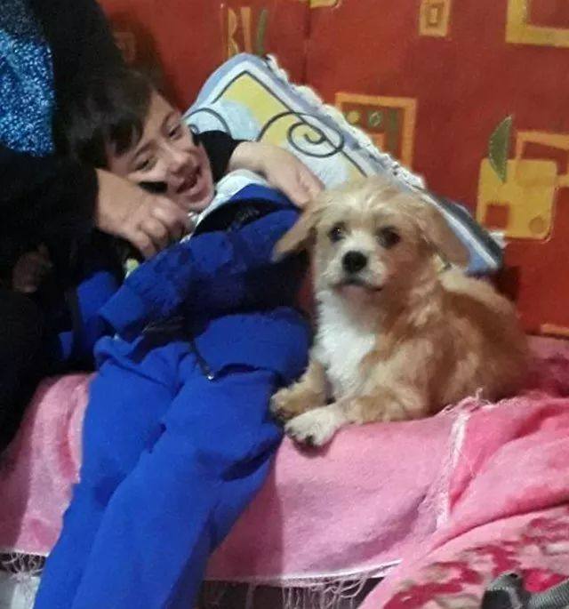 狗狗迎接小主人放學，原以為接下來的畫面是一起奔跑回家，但……