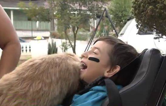 狗狗迎接小主人放學，原以為接下來的畫面是一起奔跑回家，但……