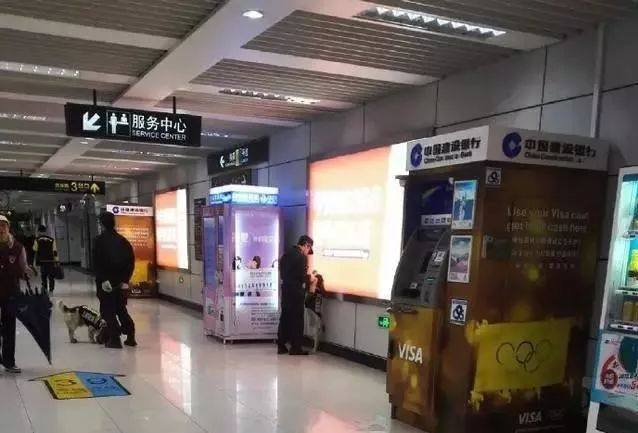 一說要上班，威武的警犬就躺在地上打滾，可愛樣子簡直不忍責備！