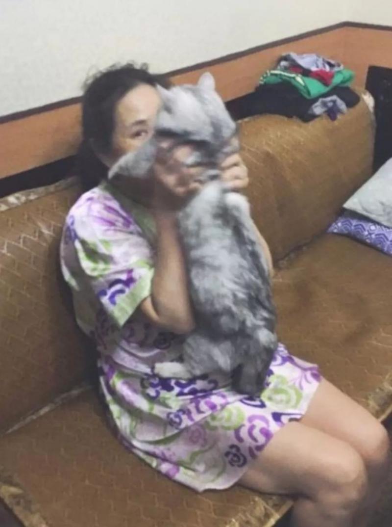 爸媽說：你要敢養這破貓就給我從家裡滾出去！直到看到這一幕...我滾還不行嗎？ 