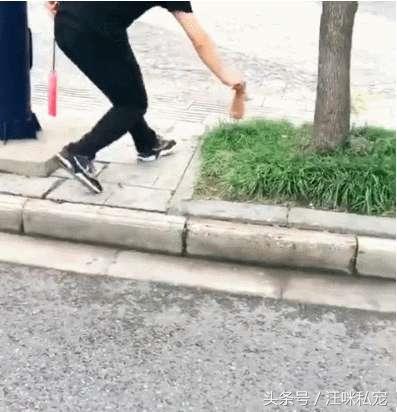 小貓被救後，要以身相許，追著恩人拔腿就跑，網友：你就收下吧！ 