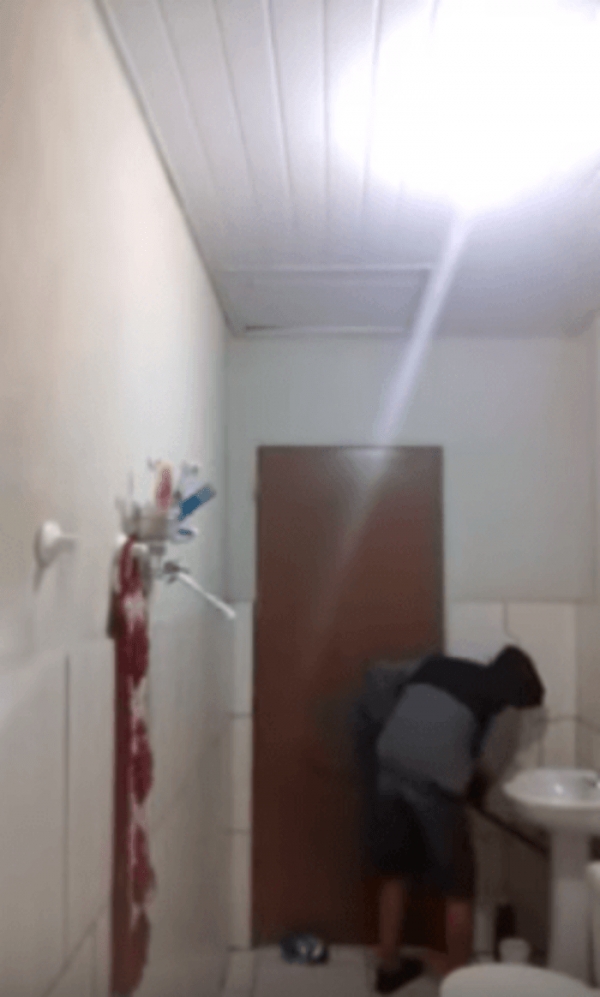 男子出動「家中喵皇」來抓浴室老鼠，結果貓咪「比他還怕的反應」讓網友都笑炸了！