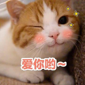 主子大轉性？網友出差回家「立馬飛撲抱緊緊」...一臉委屈：不許你離開朕了！ 