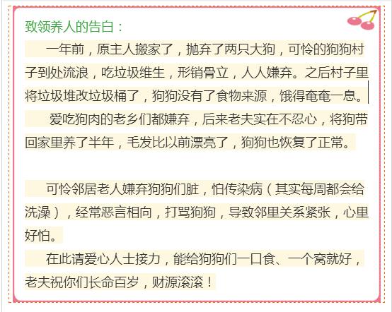 被人拋棄的土狗一家，敲門求好心人收留，幸福的日子卻尤其短暫