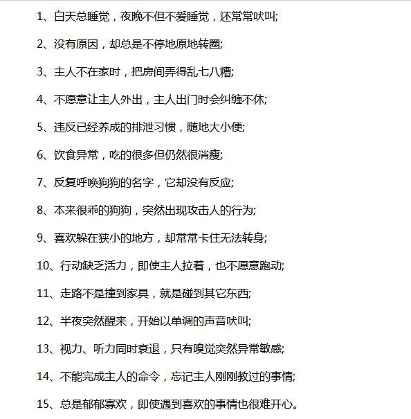 狗狗得了老年痴呆症，卻被喵深深地愛著
