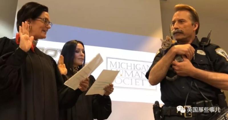 履行諾言！一隻喵最近入職宣誓警察局，這架勢很酷啊！